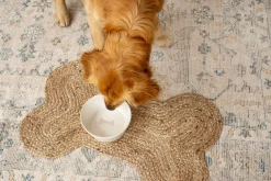 Bol pour chien Paw Resist blanc
