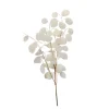 Branche monnaie du pape
