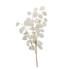 Branche monnaie du pape