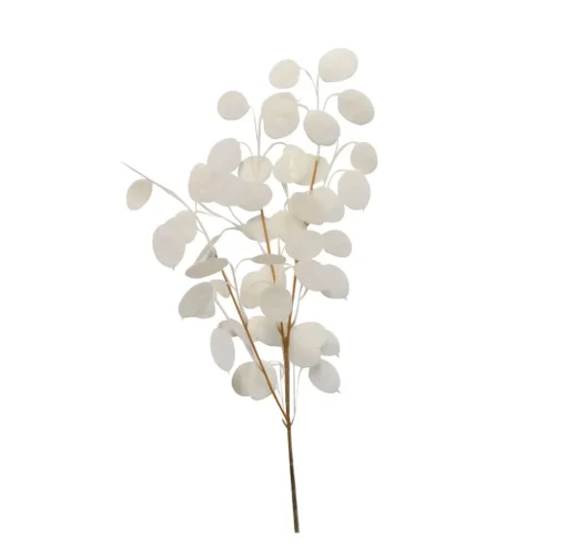 Branche monnaie du pape