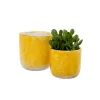 Cache pot Lemon