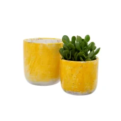 Cache pot Lemon
