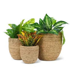 Cache-pot jute
