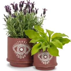 Cache-pot Oeil