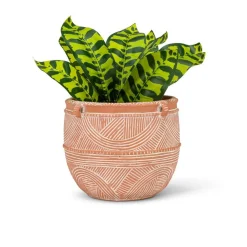 Cache-pot terracotta rustique