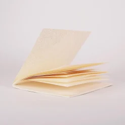 Carnet de poche Floride par Baltic Club