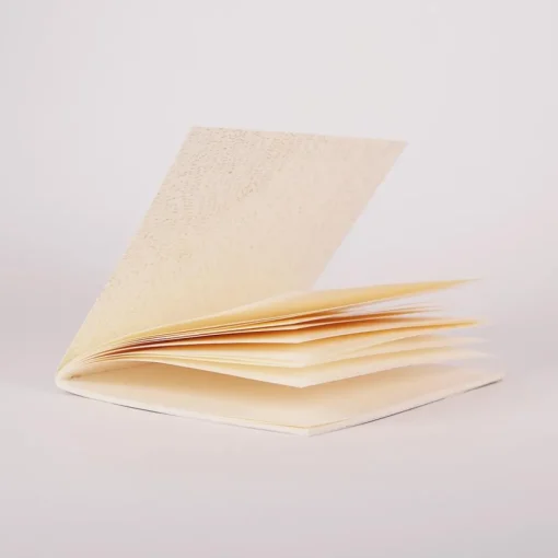 Carnet de poche Floride par Baltic Club