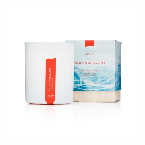 Chandelle Aqua Coralline