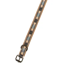 Collier pour chien brodé Casper