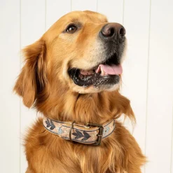 Collier pour chien brodé Casper
