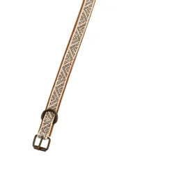 Collier pour chien brodé Tucker