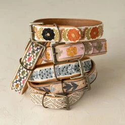 Collier pour chien brodé Tucker