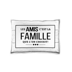 Coussin - Les amis c'est la famille