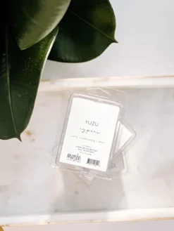 Pastille de cire Yuzu | Cyprès