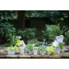 Pot antique blanc