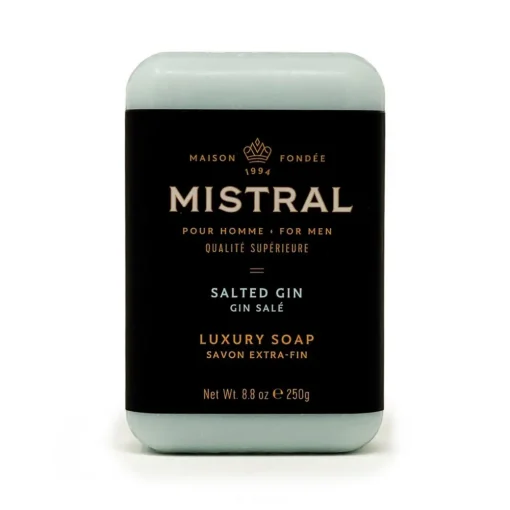 Savon pour homme en barre Gin salé